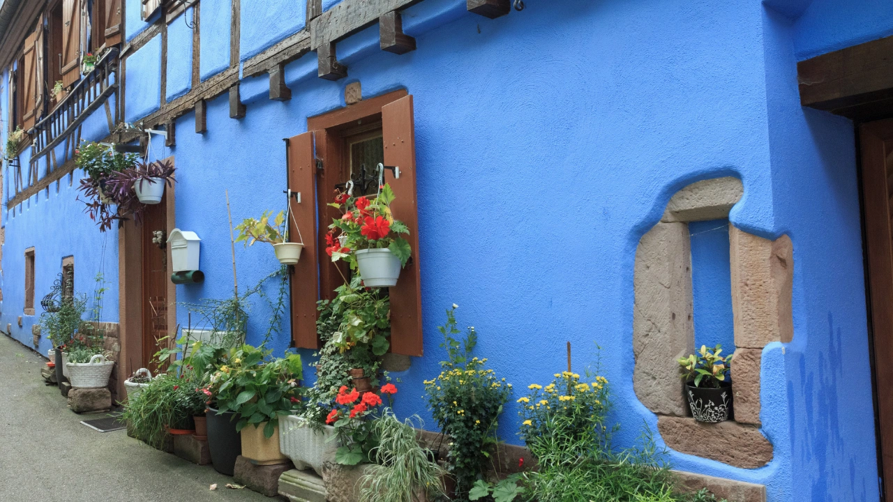 Ziua 2 - Tur de 1 zi in Alsacia - Experienta completa de degustare a vinurilor