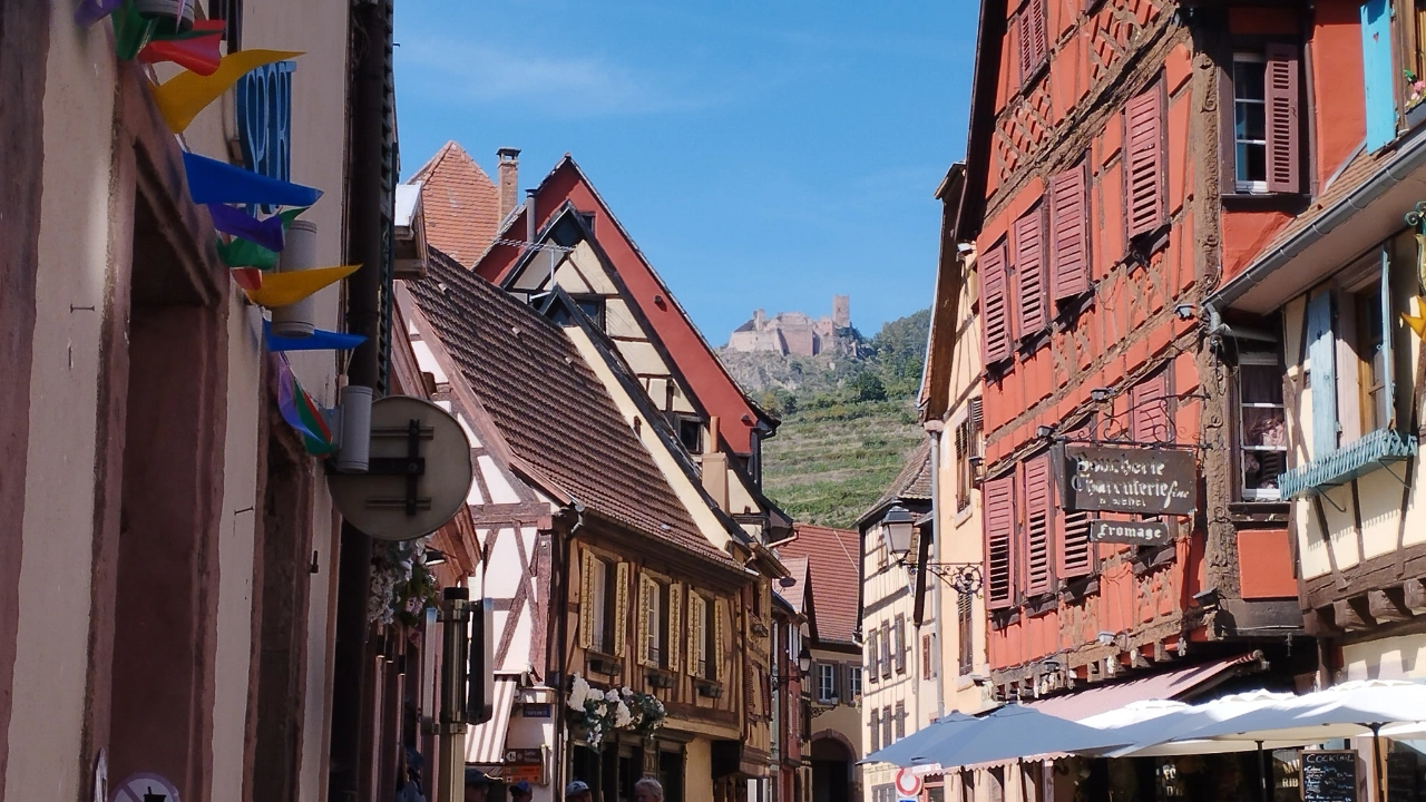 Ziua 2 - Tur de 1 zi in Alsacia - Experienta completa de degustare a vinurilor