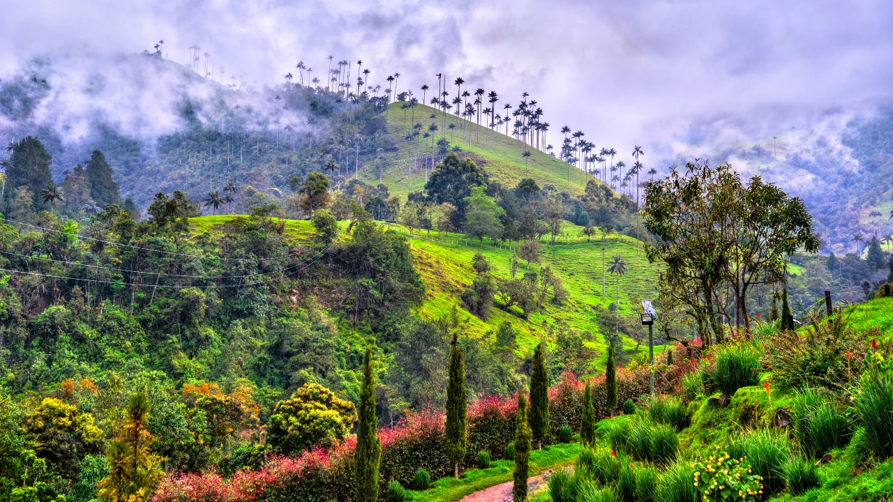 Ziua 4 - Valea Cocora 