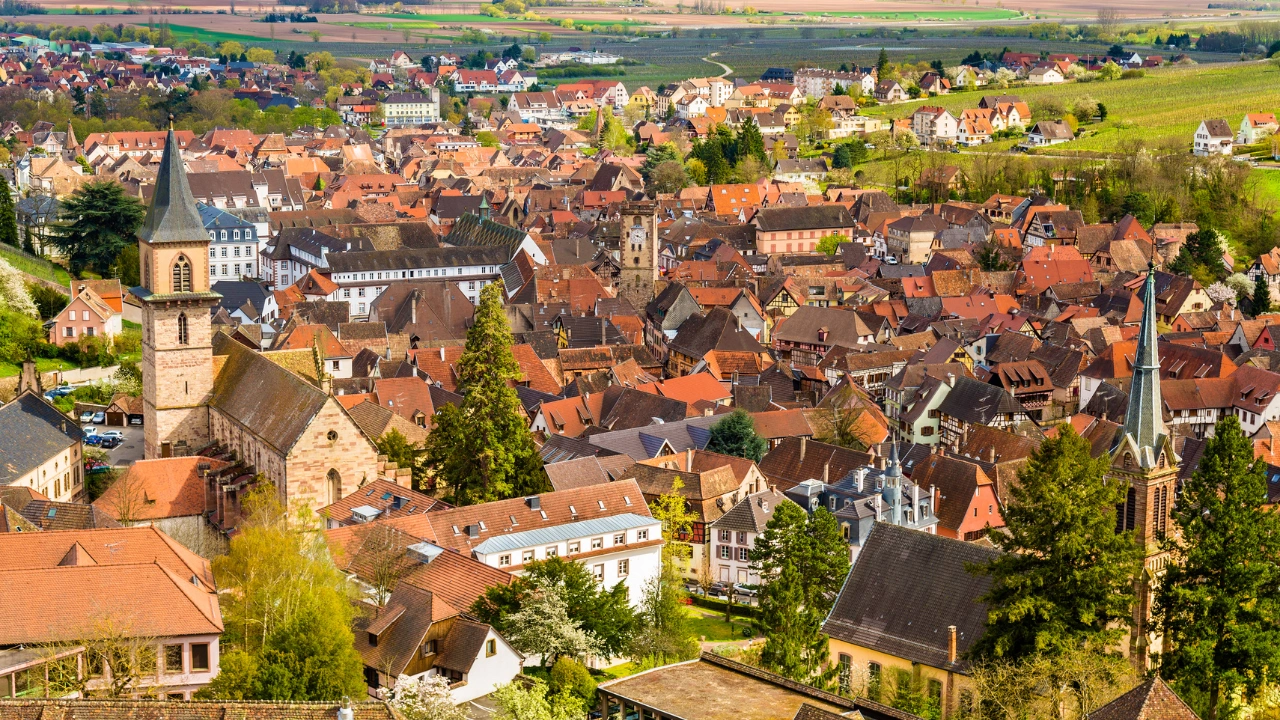 Ziua 2 - Tur de 1 zi in Alsacia - Experienta completa de degustare a vinurilor